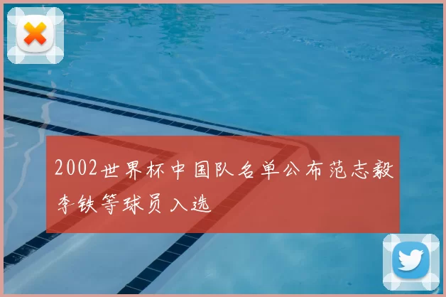 2002世界杯中国队名单公布范志毅李铁等球员入选