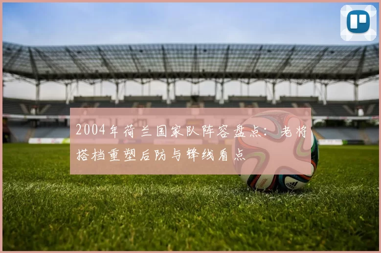 2004年荷兰国家队阵容盘点:老将搭档重塑后防与锋线看点