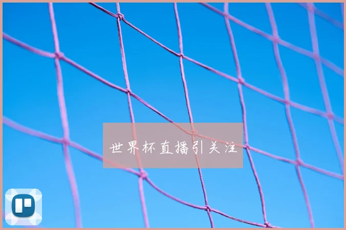 世界杯直播引关注