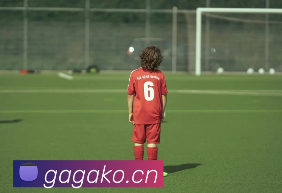 九游体育app官方首页服务体系